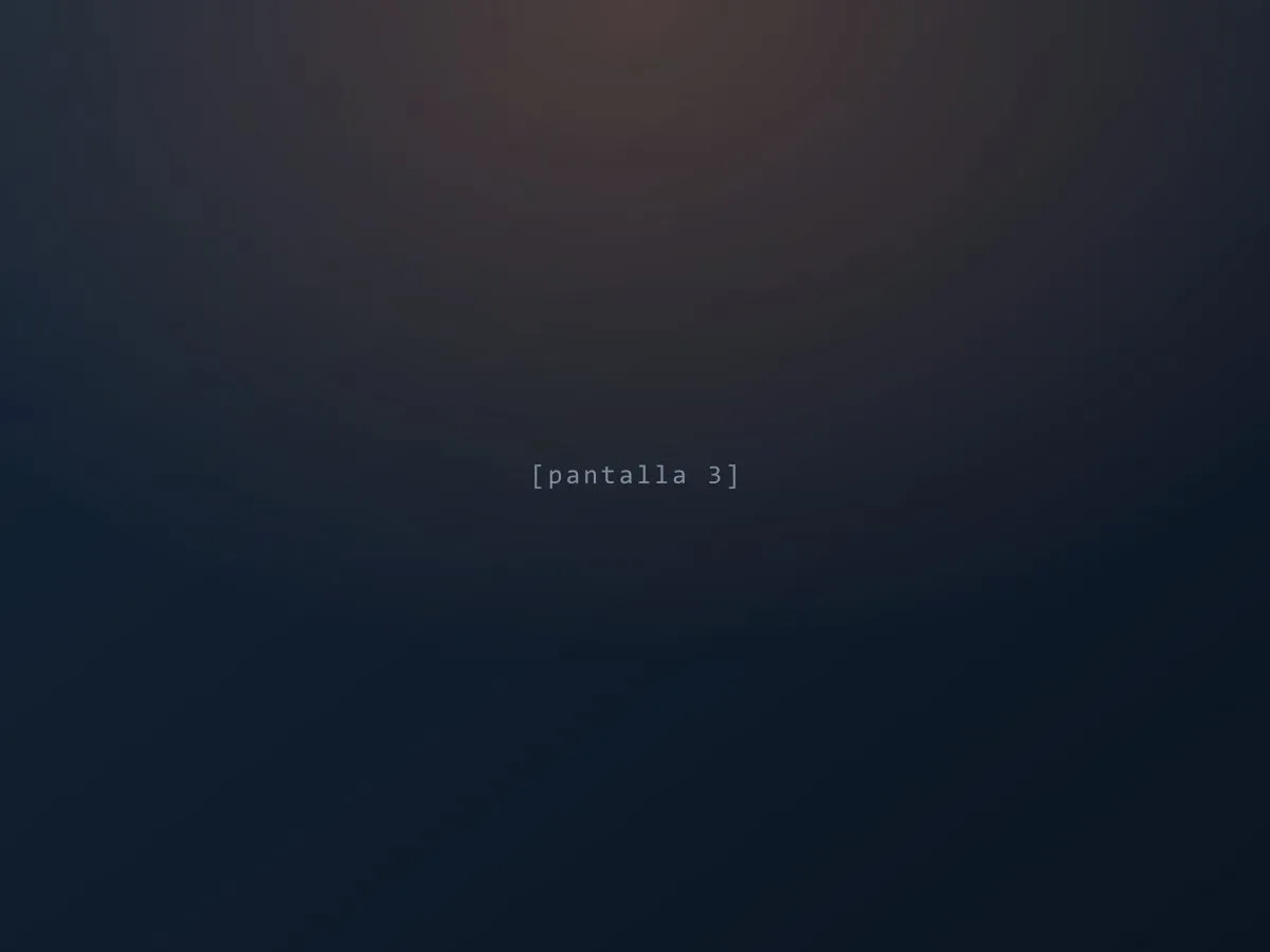 Pantalla 3 de la aplicación